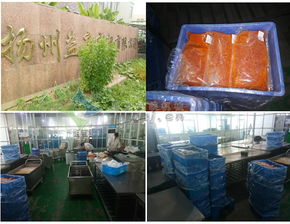 蒜蓉酱包装机 调味汤料包装机客户案例 扬州东园食品有限公司